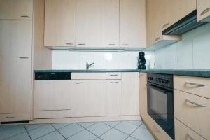 艾姆敦Schwendihaus Apartment的厨房配有白色橱柜和水槽