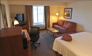 汉普顿汉普顿酒店--纽波特纽斯的酒店客房,配有床和沙发