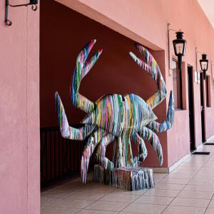 坦皮科Casa Bruna Luxury Lofts的建筑一侧的螃蟹雕像