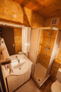 利恩茨约芬塔勒泽特菲尔德旅馆的一间带水槽、淋浴和卫生间的浴室