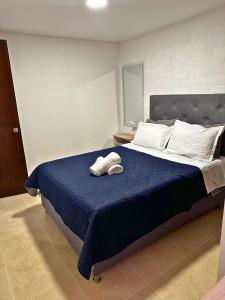圣罗莎德卡瓦尔Maravilloso alojamiento para tu familia的一间卧室配有蓝色的床和2条毛巾