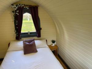 约克Belle Vista Glamping & Camping的一间卧室配有一张带窗户和枕头的床
