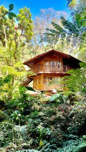 塞罗蓬塔Los Quetzales Ecolodge & Spa的花园中间的大型木屋