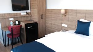 伊斯坦布尔The Blue Suites的一间卧室配有一张床和一张书桌及电视