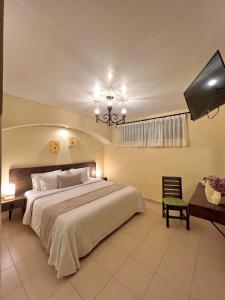瓦曼特拉Hotel Del Parque的一间卧室配有一张大床和电视