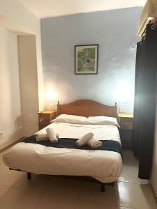 瓦伦西亚Barraca Suites的一间卧室配有一张带两个枕头的床