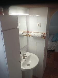 布尔吉略斯ALBORADA TRES的一间带水槽和卫生间的小浴室