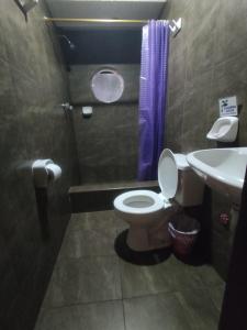 巴尼奥斯HOSTAL WALDORF.EC的一间带卫生间和水槽的浴室