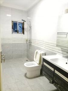 黑角Appartement bord de mer的白色的浴室设有卫生间和水槽。