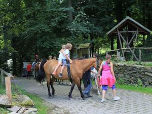 安娜贝格-布赫霍尔茨Holiday apartment Old Town for family的一群骑在马背上的儿童