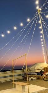 拜尔卡Dolphin Campground的帐篷和灯的舞台