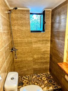 罗希姆诺The Secret Ontas, Traditional stone house的一间带卫生间和窗户的浴室