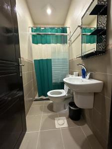 瓦迪穆萨Amro Petra Apartment的一间带卫生间和水槽的浴室
