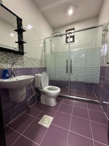 瓦迪穆萨Amro Petra Apartment的浴室配有卫生间、盥洗盆和淋浴。
