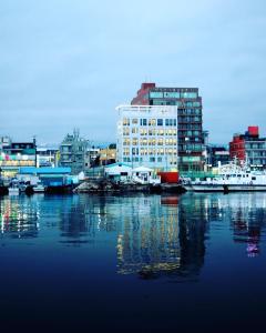 束草市Stay Hostel的享有港口的建筑和水景