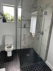 但尼丁Guest Suite St Clair Beach的带淋浴和卫生间的浴室