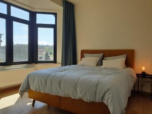 胡伊埃拉尔特Brussels countryside的一间卧室设有一张大床和两个窗户