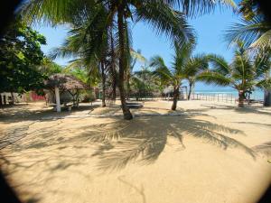 阿鲁甘湾Rainbow Village Cabanas的棕榈树和海洋的沙滩