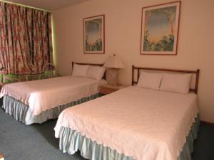 卡沃罗霍佩里齐斯酒店的酒店客房设有两张床和窗户。