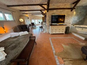 索非亚Villa Boyana City & Relax的客厅配有沙发和电视。