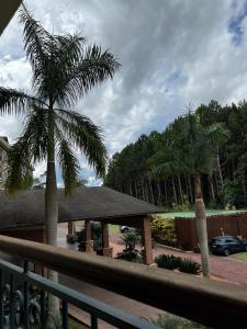 AracêVista Azul Apart Hotel - Vista Pinheiros的从阳台可欣赏到棕榈树的景色