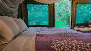 SekenaniDan Maasai Mara safari camp的一张位于带大窗户的房间内的床铺