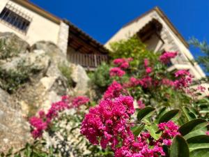 赫罗纳Luxury Villa Girona Bellissimo的房子前面的一束粉红色的花