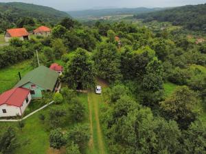 Certeju de SusTheea's tiny house的森林中一辆面包车房屋的空中景观