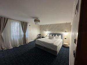 百乐·奥拉内斯蒂Pensiunea Izvoare Olanesti 3***的酒店客房设有一张床和一个大窗户