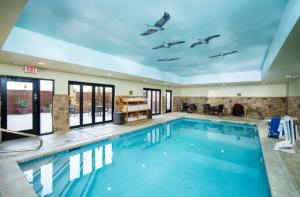 霍利斯特Bass Pro Shops Angler's Lodge的一个带游泳池的酒店客房内的大型游泳池