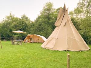 比灵斯赫斯特Dragonfly Lodge Ifold & Alpaca My Tipi Glamping的田野上的帐篷,配有桌椅