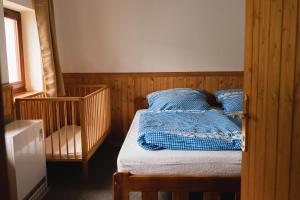 派克波特斯耐兹库Roubenka U 2 přátel的一间卧室配有一张带蓝色毯子的床