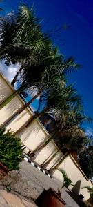 纳库鲁Twiga Whitehouse Villas的一座建筑前的棕榈树
