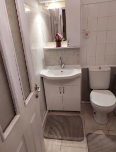 伊斯坦布尔B.A.A Sabiha Gökçen的浴室配有白色水槽和卫生间。