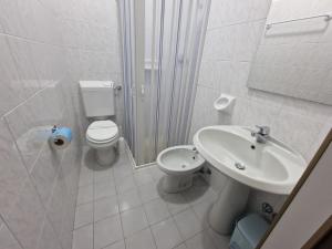 毕威格利亚努La Locanda di Bivigliano的白色的浴室设有卫生间和水槽。
