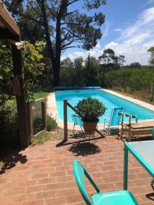 拉弗洛雷斯塔Hermosa, arbolada y amplia的一个带椅子和桌子的游泳池以及盆栽植物