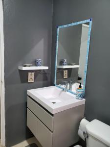 蒙特哥贝the Blue Ackee的一间带水槽和镜子的浴室