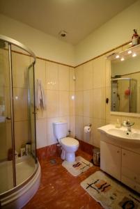萨摩斯Villa Sofia的浴室配有卫生间、淋浴和盥洗盆。