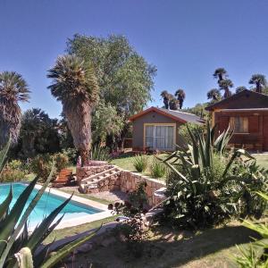卡皮亚德尔德尔蒙特Palmares al cerro的一座带游泳池和棕榈树的房子