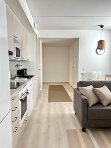 奥卢Kotimaailma Apartments Tervapääsky I的一间厨房和一个客厅,客厅配有沙发