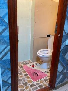 奇姆肯特Апартаменты的一间带卫生间和粉红色地毯的浴室