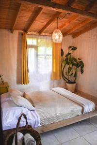 麦德林Casa Profunda - Santa Elena的窗户客房内的一张大床
