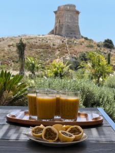 杰拉Villa Aries - Rural Chic Experience的两杯橙汁的食品