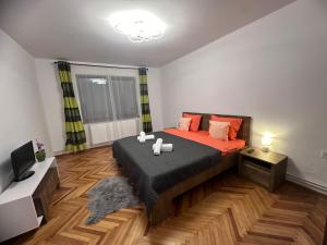 克卢日-纳波卡Camelia's Apartment的一间卧室配有一张大床和电视