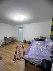 克卢日-纳波卡Camelia's Apartment的一间卧室配有一张床和地毯