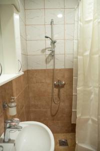 维舍格勒Apartmani Bašta的带淋浴、水槽和卫生间的浴室