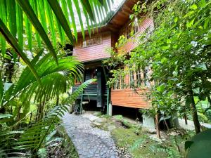塞罗蓬塔Los Quetzales Ecolodge & Spa的森林中的房子