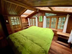 塞罗蓬塔Los Quetzales Ecolodge & Spa的一间设有绿床的卧室,位于带窗户的房间内