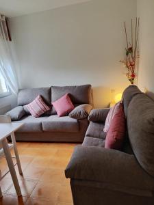 SeoaneCasa da Fontiña的客厅配有灰色的沙发和粉红色的枕头。