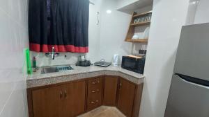 帕坦Bishram Homes的一间带水槽和冰箱的小厨房